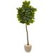 78" Rubber Leaf Artificial Tree in Sand Stone Planter (Real Touch)
