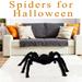 Augper Clearance Halloween Giant Stuffed Spider Toy Huge Realistic Black Spider Stuffed Animal Plush Pillow Halloween Funny Prank Toys