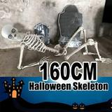 Teissuly Halloween Skeleton Prop Human Full Size Skull Hand Life Body Anatomy Model Decor Halloween Decor Halloween Skeleton Halloween Skeleton Decor Skeleton Model