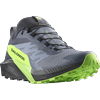 Trailrunningschuh SALOMON "SENSE RIDE 5 GORE-TEX", Gr. 48, grau (grau, grün), Textil, Synthetik, sportlich, Schuhe, wasserdichte Trailrunningschuhe