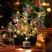 The Holiday Aisle® Christmas Tabletop Tree w/ Lights Battery Operated, Pre-Lit Snowy Xmas Tree | 20.5 H x 4 W x 4 D in | Wayfair