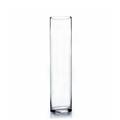 WGV Clear Cylinder Glass Vase 4 W x 16 H Floral Container Glass Candle Holder Centerpiece for Home Accent Decor 1 Piece