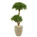 Nearly Natural 9235 44 in. Bonsai Styled Podocarpus Artificial Tree in Sand Colored Planter