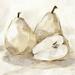 Lark Manor™ White Pear Study I by Ethan Harper - Wrapped Canvas Painting Canvas | 12" H x 12" W | Wayfair E9044BB031E143BC823787AC39543B80