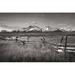 Steelside™ 'Stanley Basin Fence' by Alan Majchrowicz - Photograph Print on Canvas in Black/Gray/White | 8"H x 12"W | Wayfair
