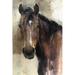 Red Barrel Studio® Hank Light V2 by Marilyn Hageman - Wrapped Canvas Painting Metal | 30" H x 20" W | Wayfair 57E11319EEAE4CEDBBB644B997ACE4F8