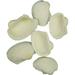 White Decorative Ark Shells 1.25-1.75 (1 Kilo) (approximately 100 pieces)
