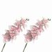 Easter Flowers Artificial Artificial Hanging Flowers for Outdoors Water Velvet Phalaenopsis High Chinese Phalaenopsis Wedding Flower Art Home Furnishing Hotel Decoration Artificial Flowers