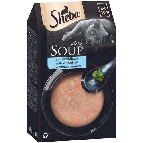 80x 40g Multipack Sheba Classic Soup Frischebeutel mit Weißfisch Katzenfutter nass