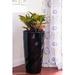 Latitude Run® Self Watering Plastic Pot Planter | 29.72 H x 15.75 W x 15.75 D in | Wayfair 290AF74CFFD948D6A324AF96D9EBAC38