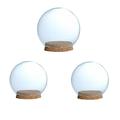 3 Pcs Glass Cloche Bell Jar Dome Flower Preservation Vase with Wooden Base