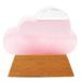 Yoone Weathers Predictor Decor Cloud Shaped High Clarity Stable Base Creative Weathers Forecast Bottle Ornament for Home