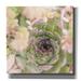 Epic Graffiti Succulents 08 by Lightbox Journal Canvas Wall Art 12 x12