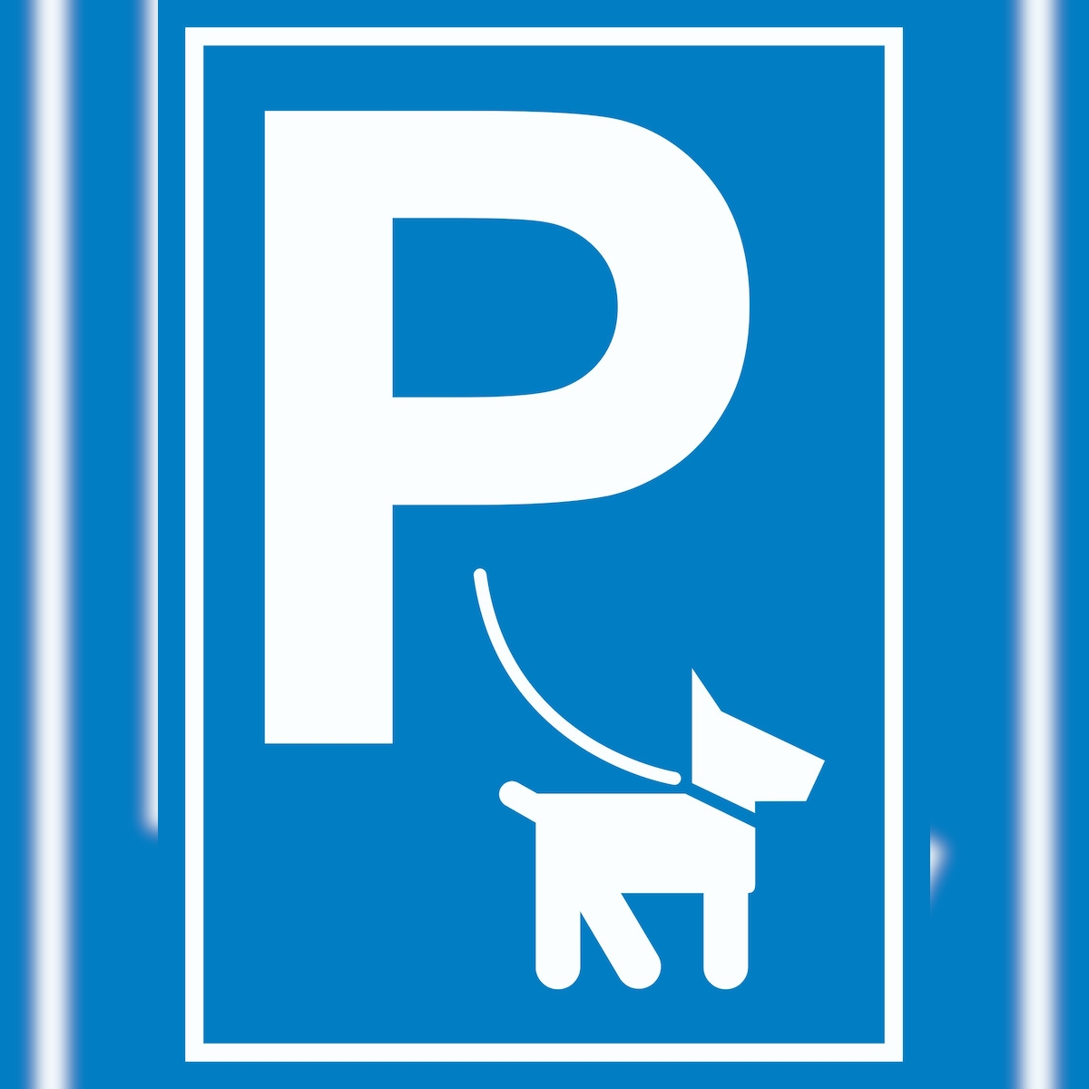 Hundeparkplatz Schild P Hunde A4 Rückseite selbstklebend Image