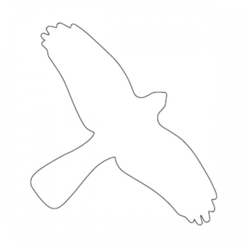 Vogelschutz Aufkleber für Fenster - 350x230 mm Folie selbstklebend Image