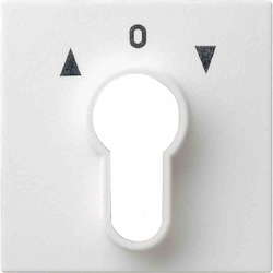 Gira System 55 Schlüssel Abdeckung, Symbol Jalousie, reinweiß, glänzend, Symbol Pfeile, 066403 Image