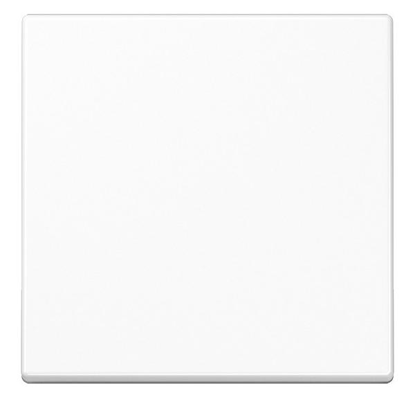 Jung Wippe 1-fach A 590 BF WW A590BFWW Image