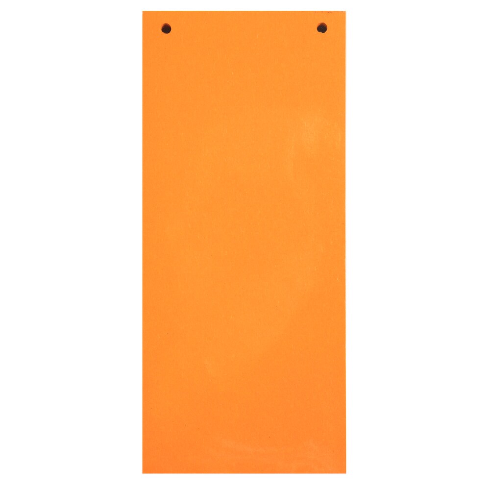 Exacompta Packung mit 100 Trennstreifen, 2-fach gelocht, 180g, 105x240mm Image