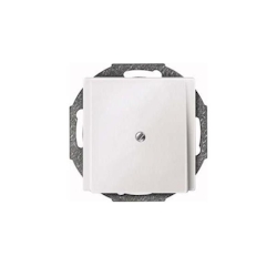 Merten Zentralplatte pws 295619 Image