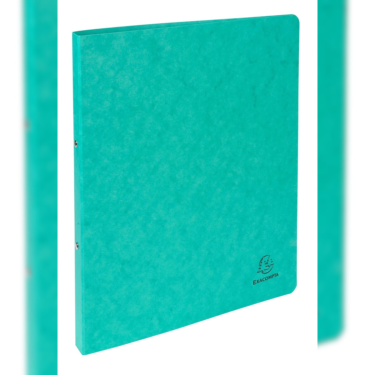 Exacompta 54253E 10x Ringhefter aus Colorspan-Karton 355g mit 2 Ringen 15mm, Rückenbreite 20mm, 32x25cm für Format DIN A4 - Grün Image