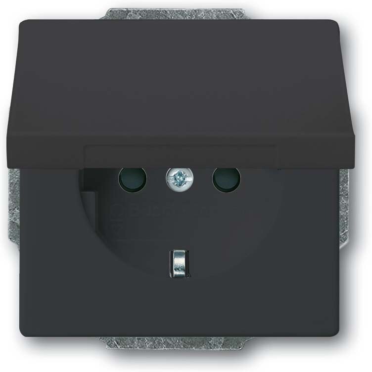 Busch-Jaeger SCHUKO Steckdosen-Einsatz 20 EUKB-81 2CKA002018A1517 Image