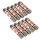 Powermaster Fuses 10pk - 13A