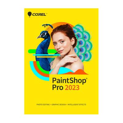 Corel Paintshop Pro Agnostic (Windows, Boxed with ...