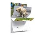 Calendrier mural pour caca de chien 2024 pooches avec beaux lieux licence familiale 03