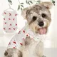 Pet Costume Cherry Fruit Pattern Flying Sleeve Simple Design Lovely Pet Sweatshirt Costume for