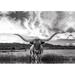 Steelside™ Black & White Longhorn Cow I - Wrapped Canvas Photograph Paper in Black/Gray/White | 12 H x 18 W x 1.25 D in | Wayfair