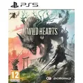 Electronic Arts Wild Hearts Standard PlayStation 5