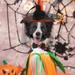 1 Set of Halloween Pet Hat Halloween Pet Decoration Funny Pet Costume Cat Hat and Collar