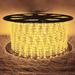 The Holiday Aisle® LED Christmas Rope Lights in Yellow | 50 Ft | Wayfair 8C3D0EB329884F28B119F67540110A6F