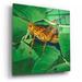 Rosalind Wheeler Red Barrel Studio® 'Grasshopper' By Durwood Coffey, Acrylic Glass Wall Art Plastic/Acrylic | 12 H x 12 W x 0.13 D in | Wayfair