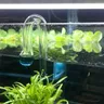 Co2 Checker Aquarium Fish Tank Water Live Moss Plant Notes Glass CO2 Drop Checker PH Ball Long Term