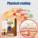 Knee Joint Pain Relief Spray Cold Compress Lumber Spine Muscle 30ml Care Treatment Pain Spray Health