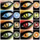 D'ORELLA 1Pair Color Contact Lenses for Eyes Anime Cosplay Contact Lenses Crazy Lenses Halloween