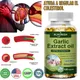 Organic Garlic Oil Extract Capsule | Non-GMO Vegan | Odor-free | for Adult Old People Premium