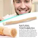 1pc Portable Miswak Siwak Natural Toothbrush Misvak Whitener Manual Teeth Travel Miswaak Traditional