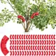 15/30/60/120PCS Plastic Plant Support Pile Frame Greenhouse Indoor Flower Plant Bracket Plant Bender