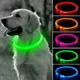 LED-Hunde halsband leuchtende USB-Hunde-und Katzen halsband Halsbänder-F-Geschirr und Leinen 3-Modus