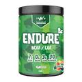 TWP Nutrition Platinum Series Endure, EAAs & BCAAs Electrolyte Blend Pre, Intra and Post Workout, Zero Sugar, 510g and 30 Servings, 14 Great Flavours (Fruit Pastilles)