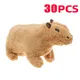 Capybara Plush Toy Stuffed Animals Plush Toy Soft Dolls Real Life Capibara Dolls Kids Toys Peluche