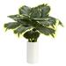 Nearly Natural 19in. Variegated Hosta Artificial Plant in White Planter