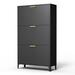 Ebern Designs Accent Cabinet, Shoe Rack, Shoe Cabinet, Shoe Storage Cabinet, Entryway Cabinet Metal in Black | 47.75 H x 25.7 W x 9.56 D in | Wayfair