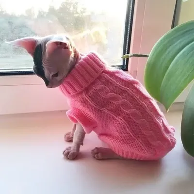 Katze Kleidung Für Pet Katzen Kleidung Für Haustiere Weste Pullover Kleidung Für Katzen Kitty