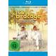 The Birdcage - Ein Paradies für schrille Vögel (Blu-ray Disc) - Black Hill Pictures