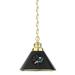 NHL San Jose Sharks Single Shade Pendant Light - Brass