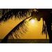 Silhouette of A Coconut Tree with An Orange Sky at Sunrise & The Ocean on The Horizon Poster Print - 38 x 24 in. - Large