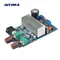 AIYIMA TPA3116 Scheda amplificatore subwoofer TPA3116D2 Amplificatori audio Uscita bassi 100 W